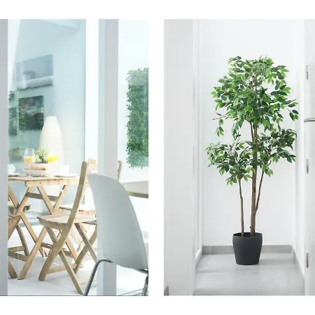 Karma 2 25m Del Mar فامارا